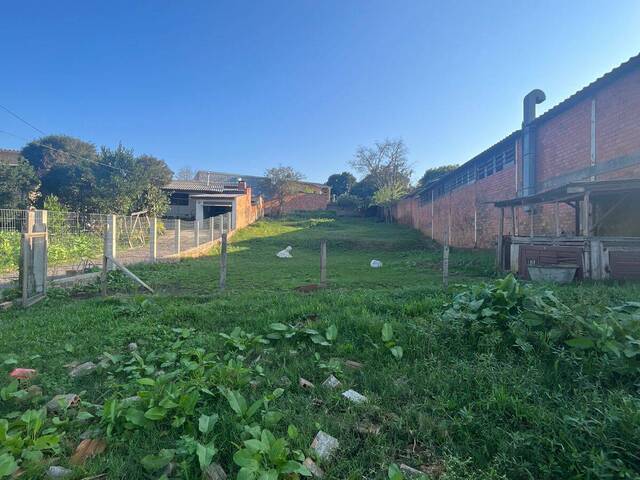 #4 - Terreno para Venda em Gravataí - RS - 2