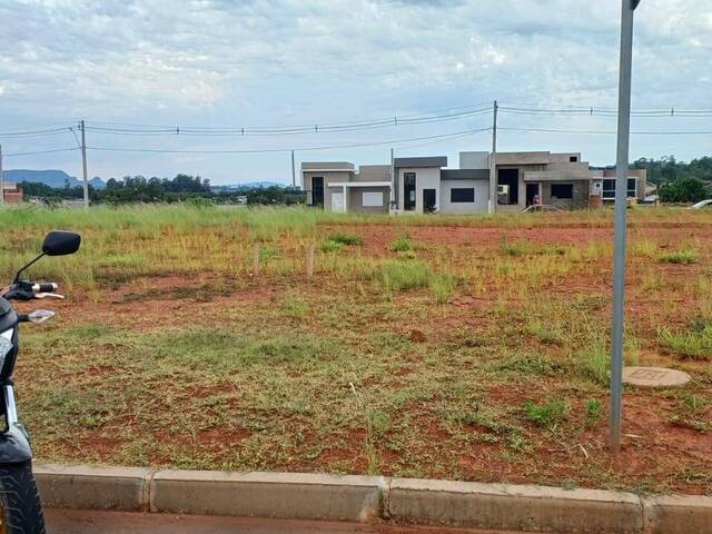 Venda em Terra Nova - Gravataí