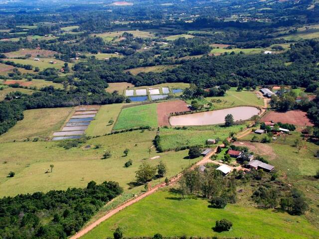 Venda em Ipiranga VI (Ipiranga) - Gravataí